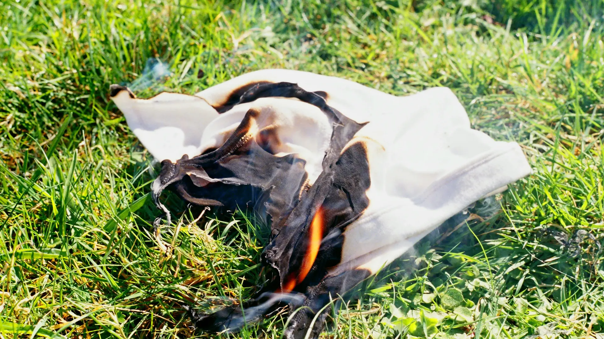 Committed to Bitterness burnt pants on grass image