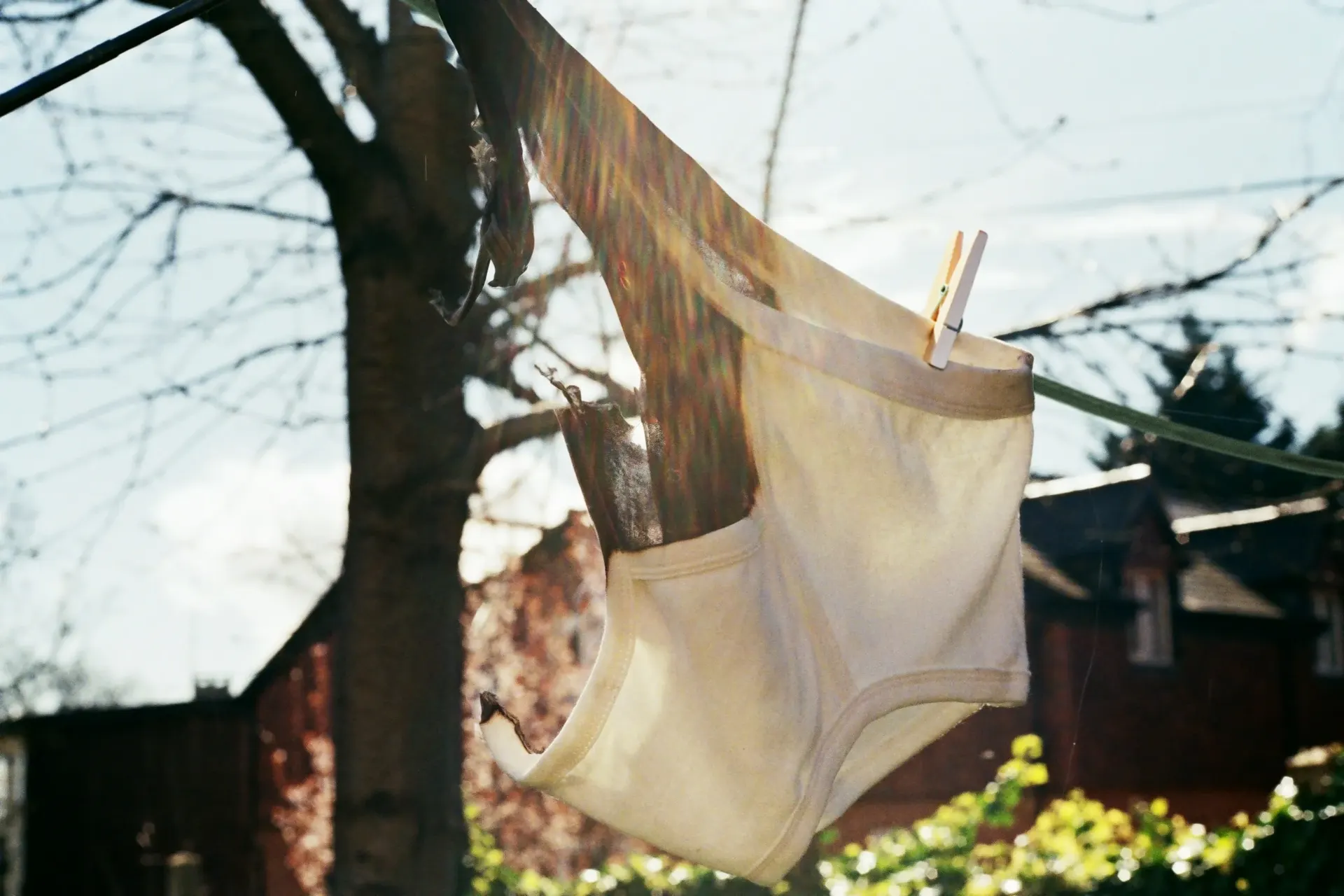 Committed to Bitterness washing line burn image
