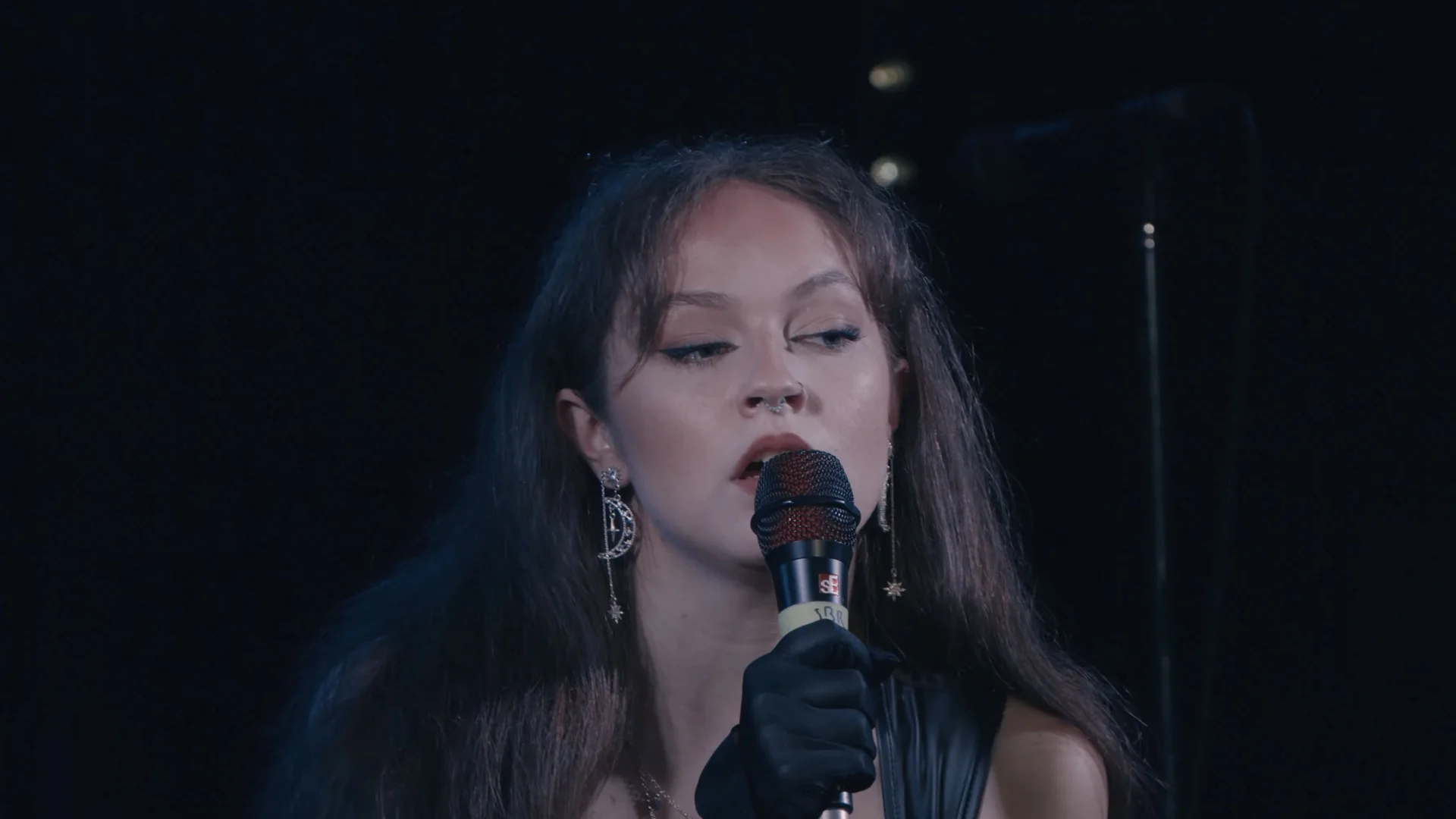 Singer addressing the audience during Linda-Ray and Friends 17